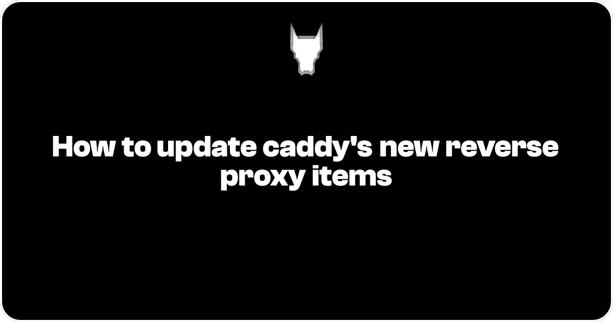 How to update caddy's new reverse proxy items